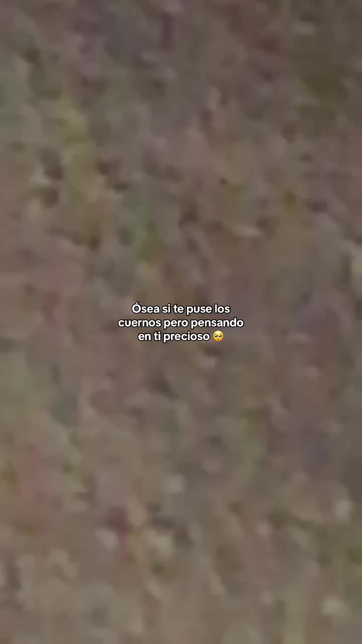 @ᶠʳᵃˢᵉˢ ఌ︎