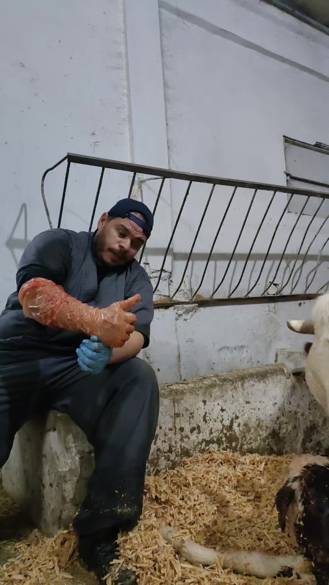 @طبيب بيطري و أفتخر