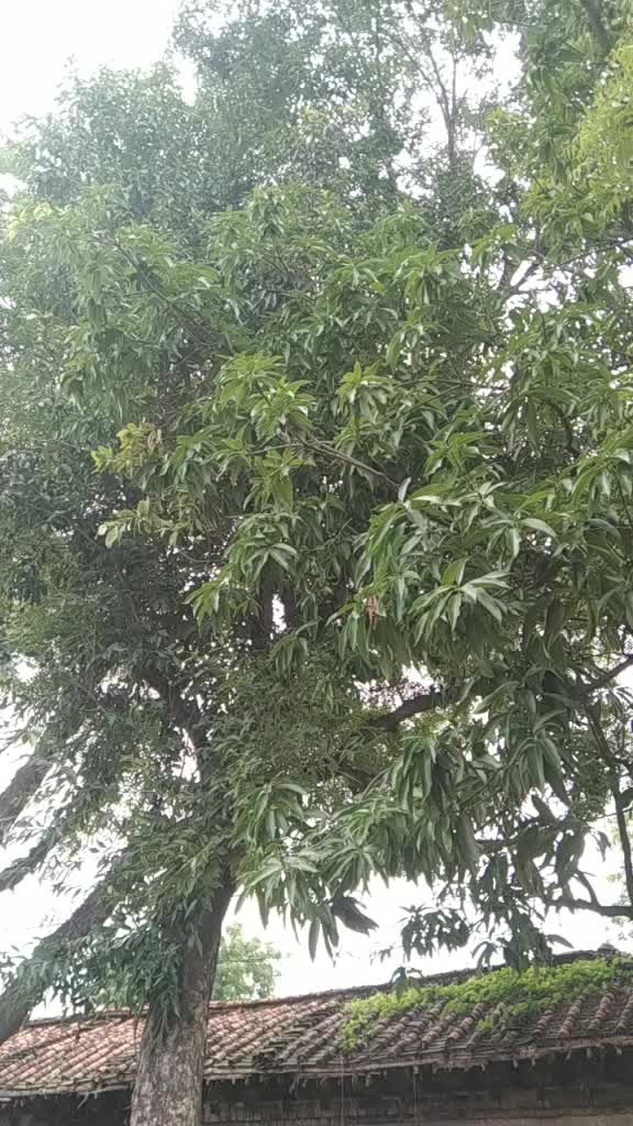 @user6160541118621