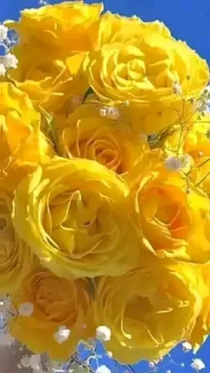@Mukti Mahato