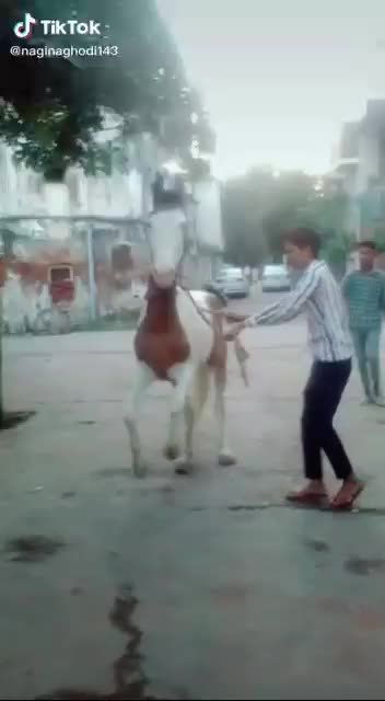 @om yadav