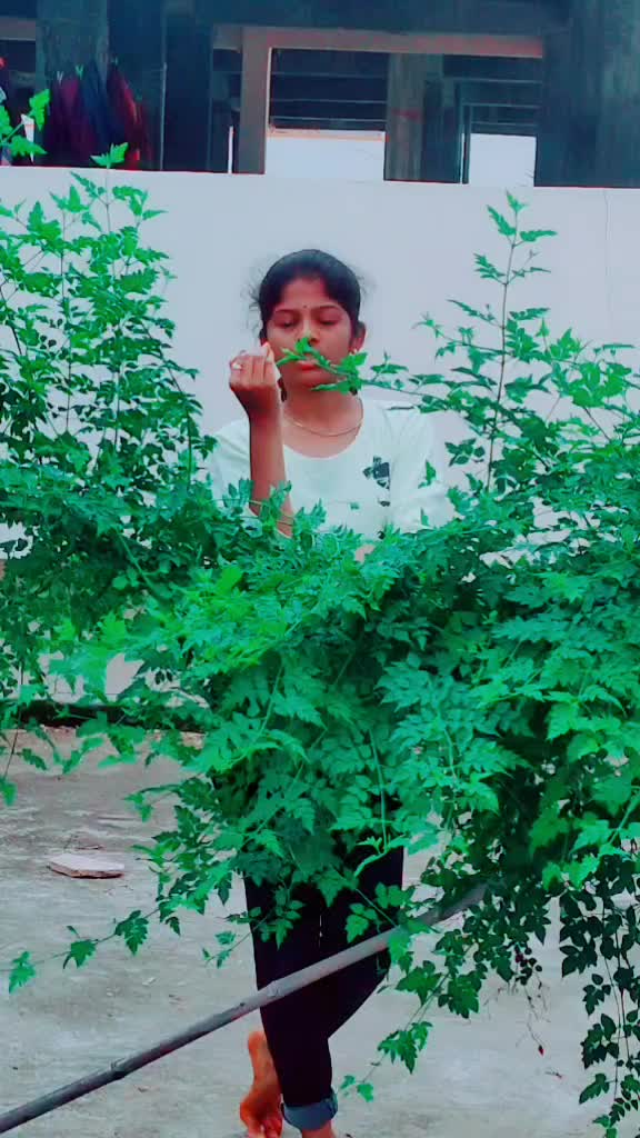 @megha_chintu