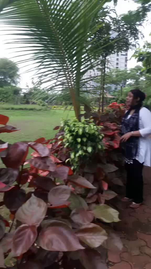 @naaz910201