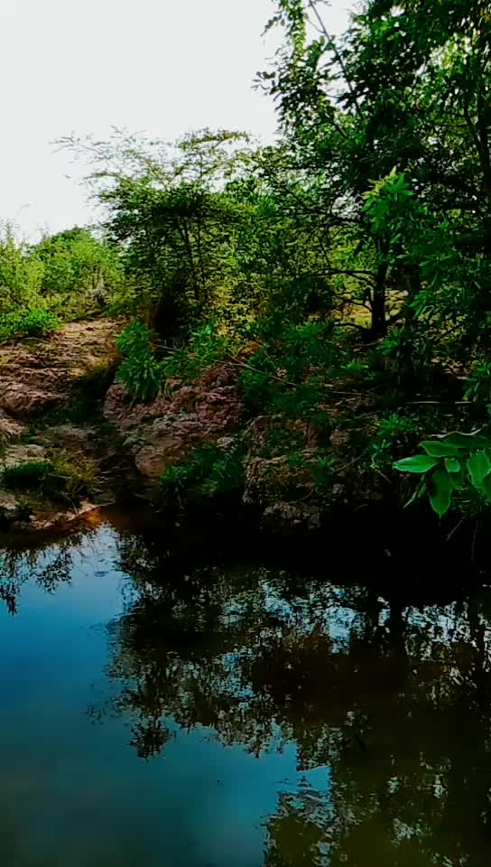 @sri