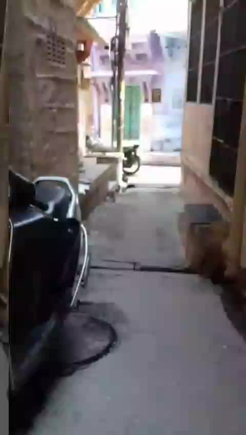 @Rajveer.14