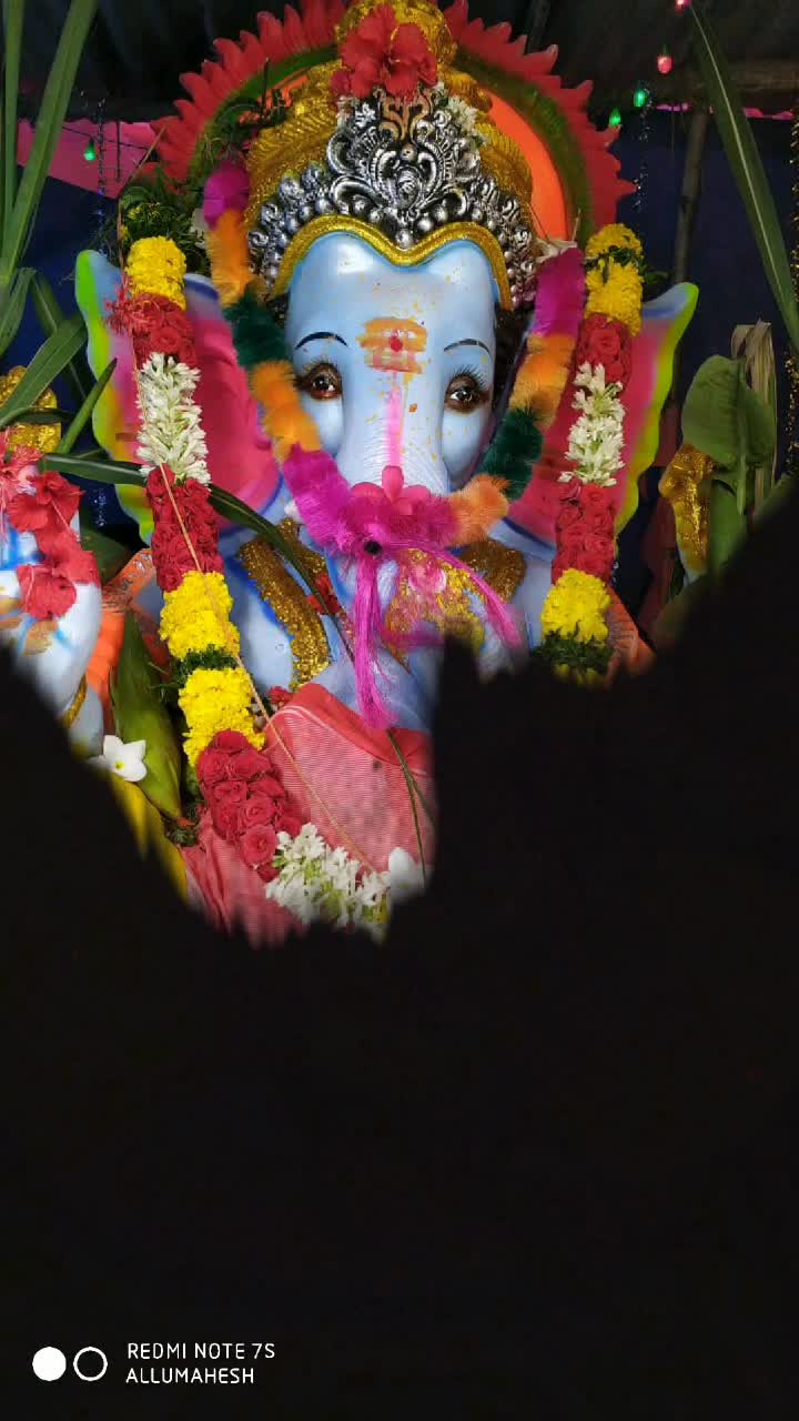 @సరైనొడు మహేష్