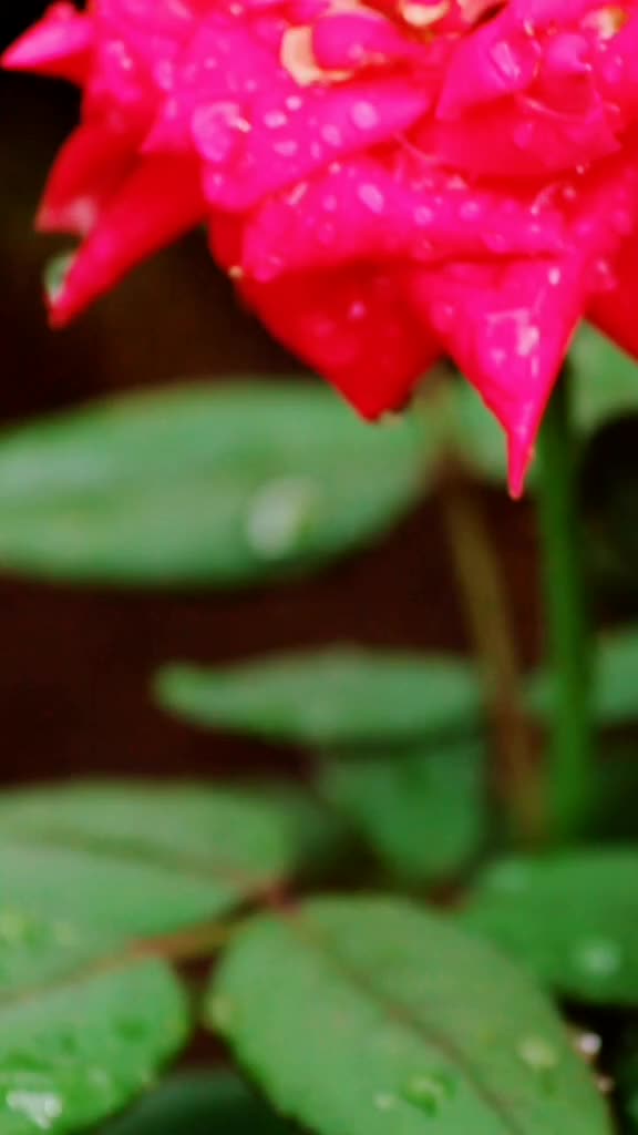 @Harshad Jejurkar