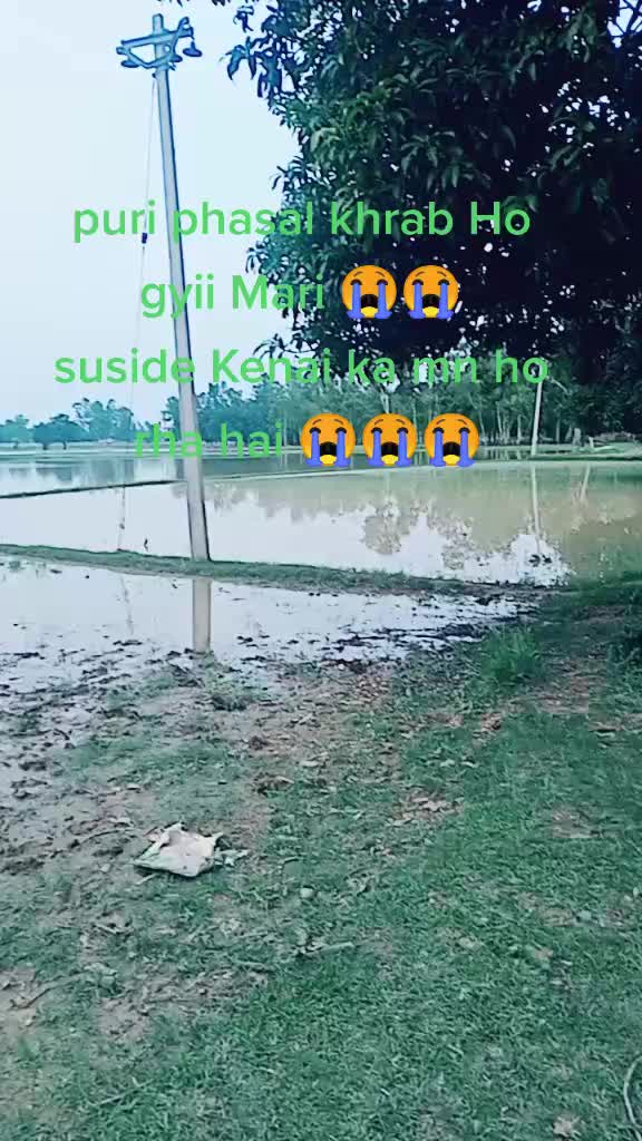 @lavkush