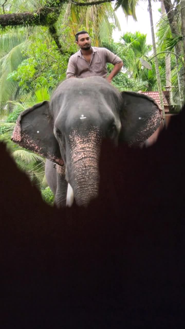 @പെരുവല്ലൂർക്കാരൻ