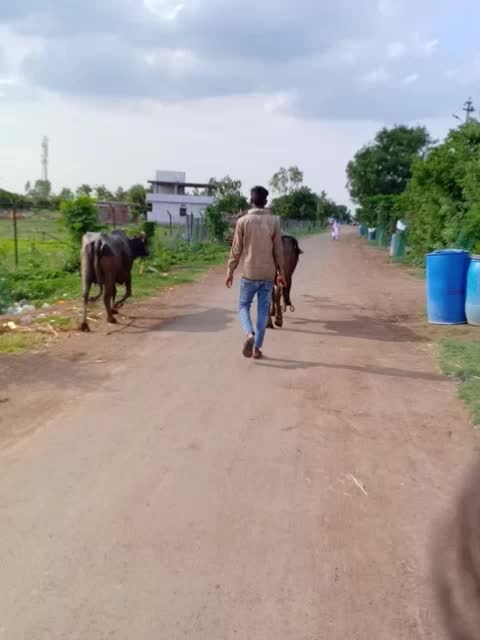@beerappa