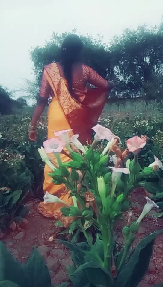 @Ramesh Rkp Gutala