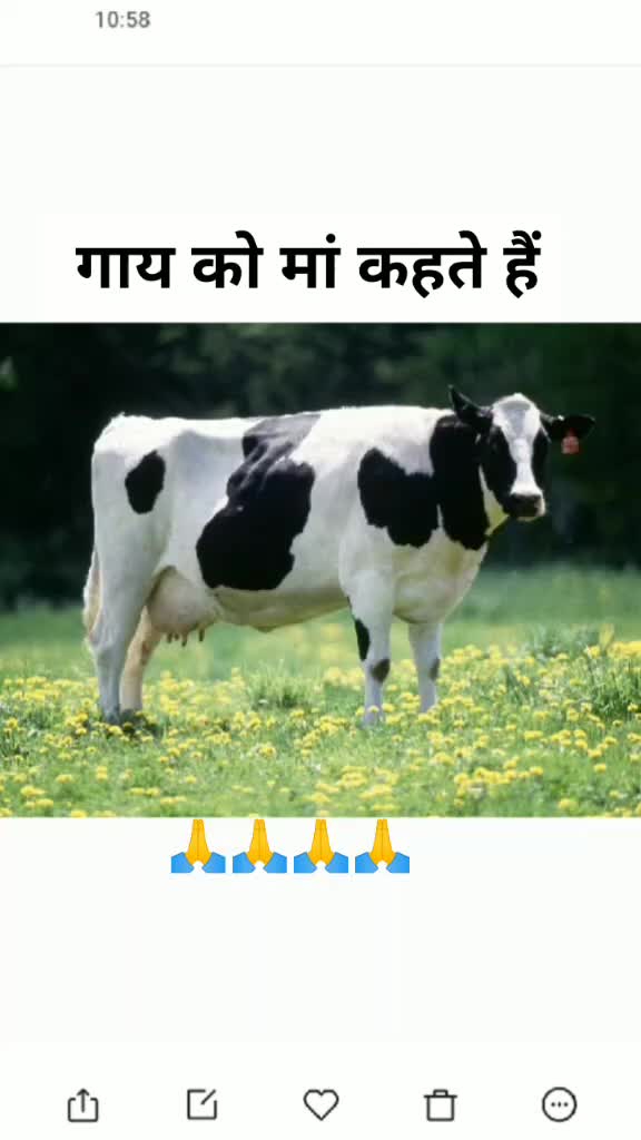 @desi ❤❤