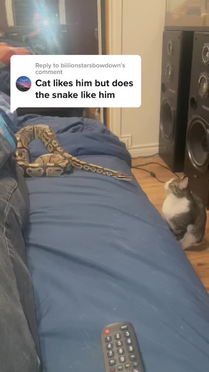 @staxnrax