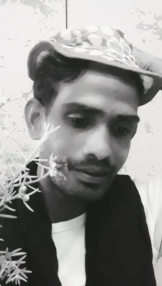 @user@natural star