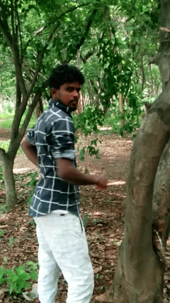 @Raju Bhai8095