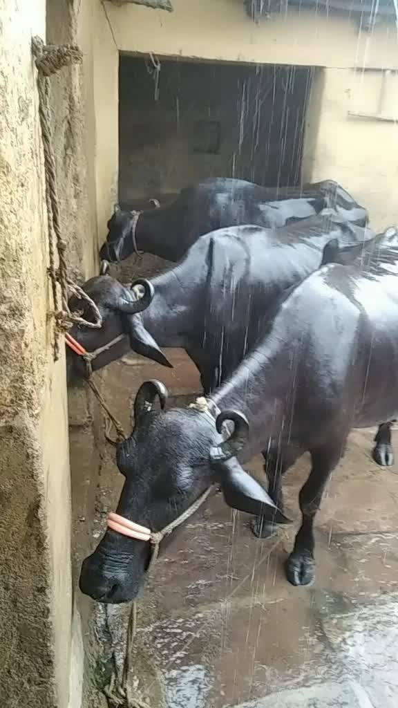 @😃😎लोकेश यादव😃😍