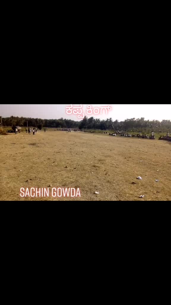 @🐂Sachin8453847757🐂