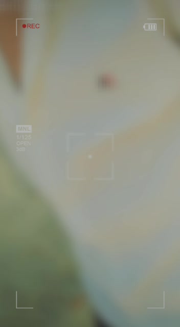 @ŊʌʋGʜty Pʌndʌt