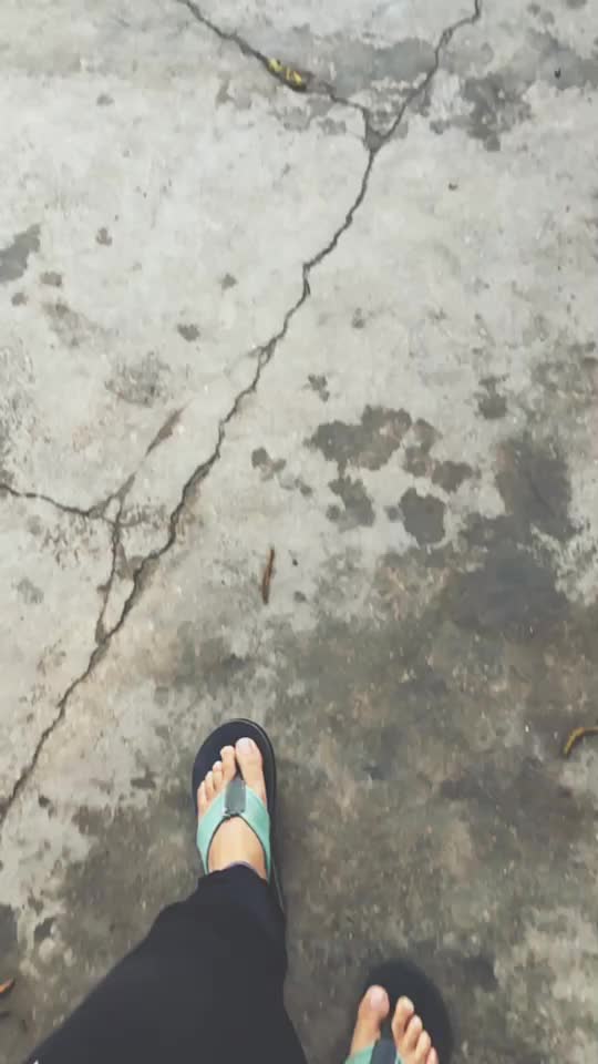 @aravv.in