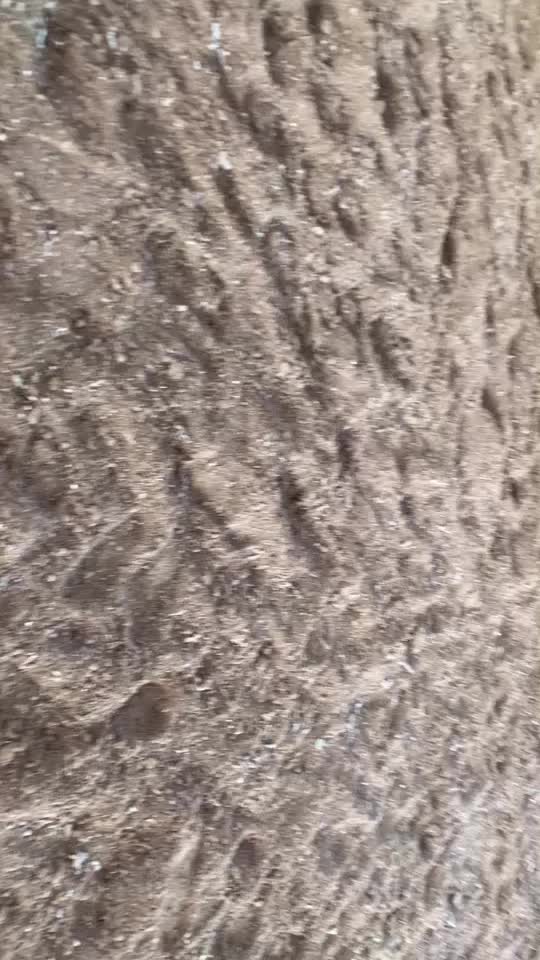 @Aidlariviera