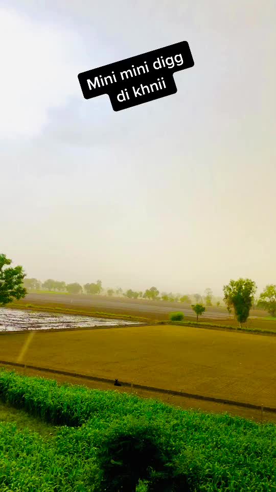 @brarsukhpal001