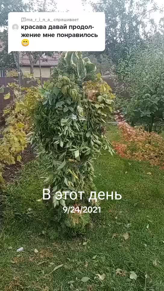 @Ura