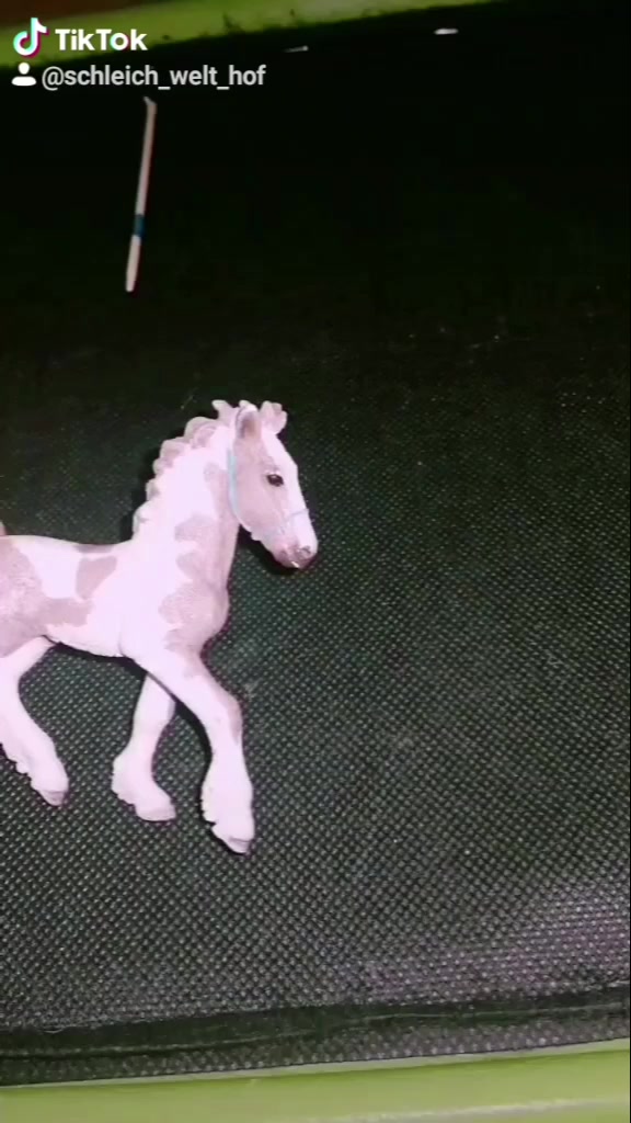 @schleich_welt
