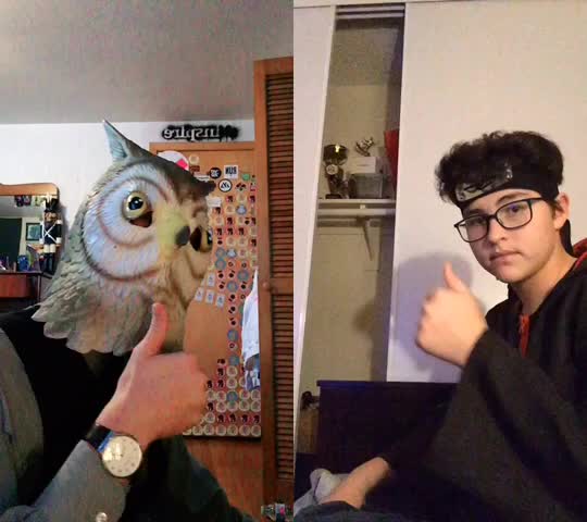 @Owl-Kun