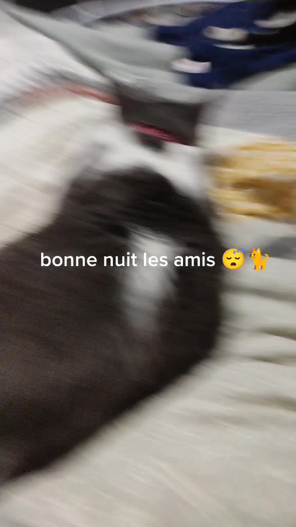@Estelle Pruvost