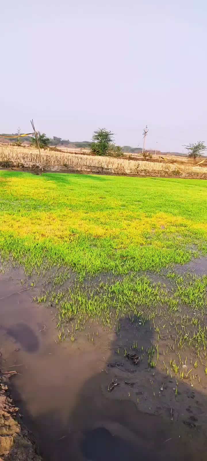 @rakesh elukapally