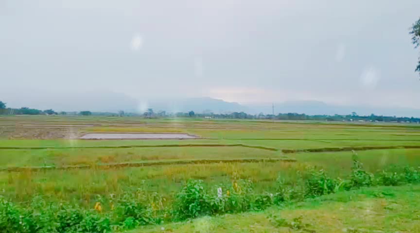 @Ritu Baishya