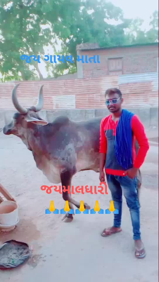 @🙏🙏કિંગમાંનાથુવારા?