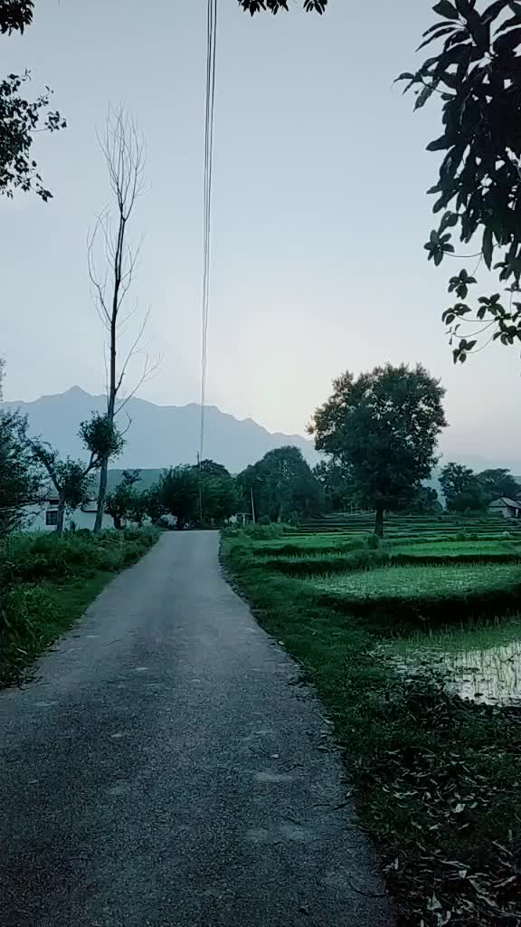 @Desire Priyanka