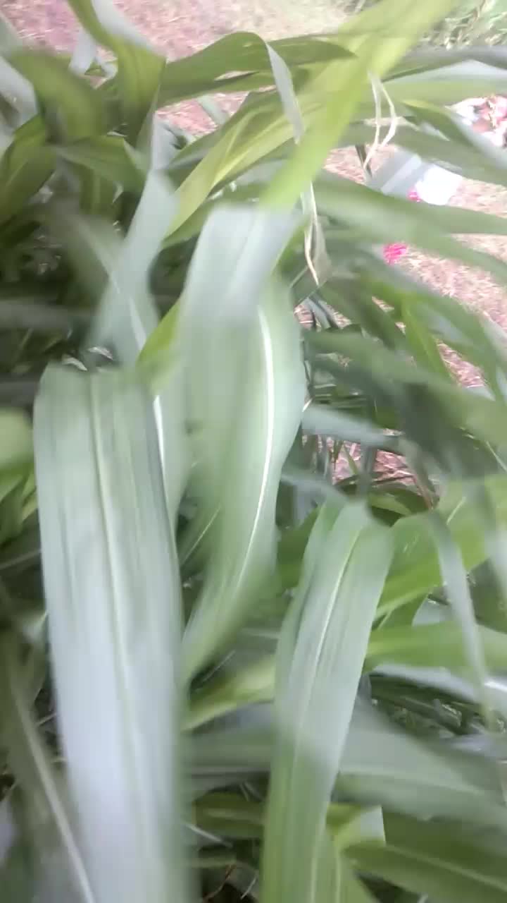 @Nisha683948