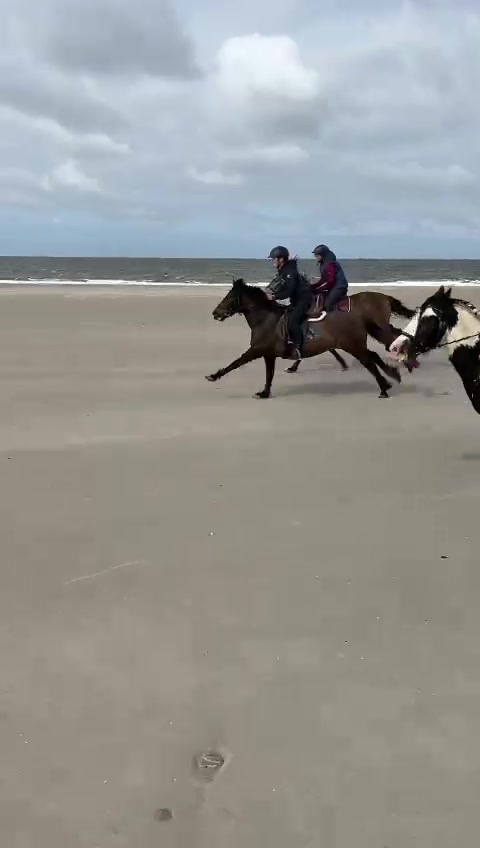 @reiterhof.andresen.amrum