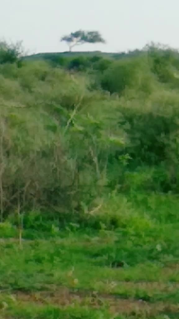 @Gadhavi raj