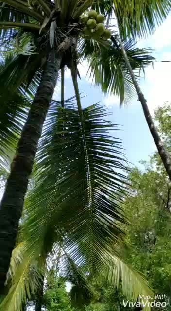 @Rachan Puttur