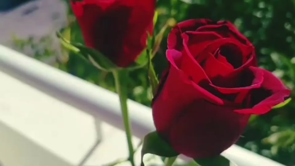 @ᴬᴱˢˢᵀᴴᴱᵀᴵᶜ