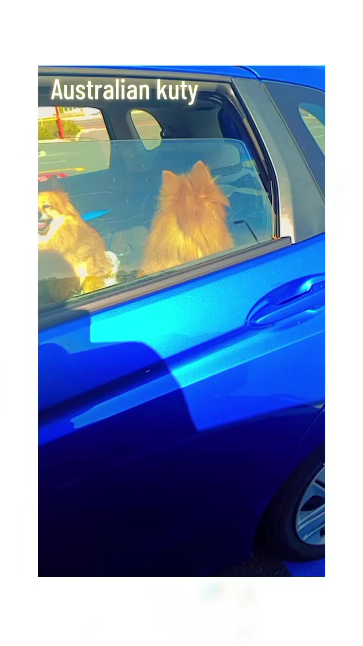 @𝑺𝒂𝒋𝒆𝒆𝒍 𝑯𝒂𝒊𝒅𝒆𝒓