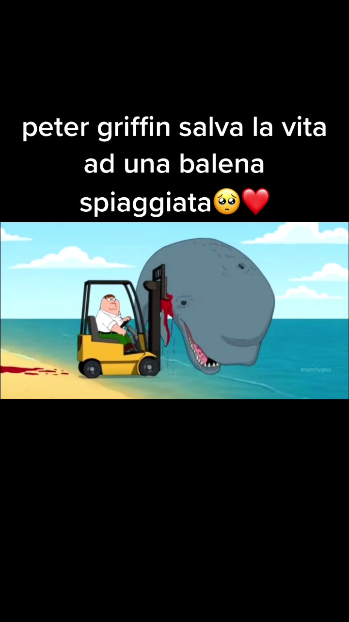@zucchine rumene