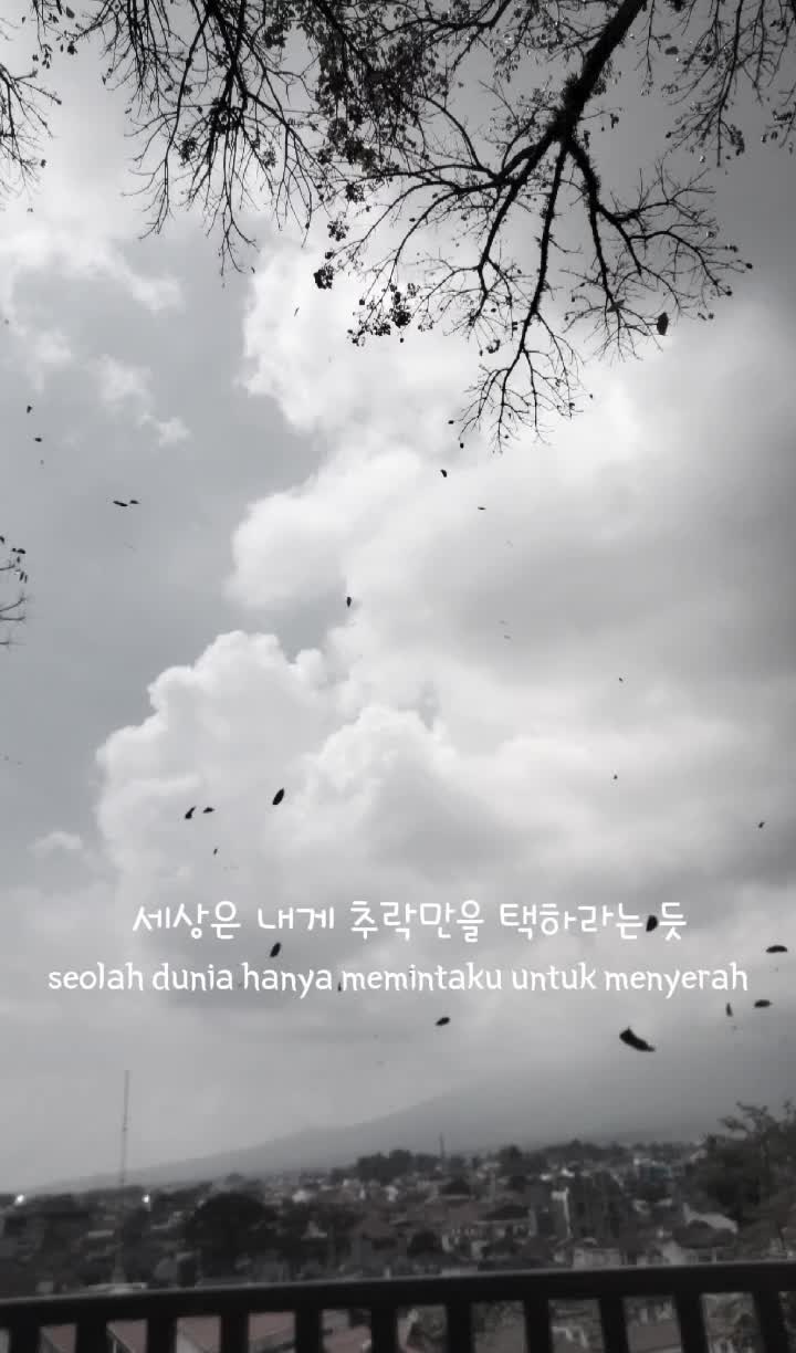 @Erva Nora Aldesri