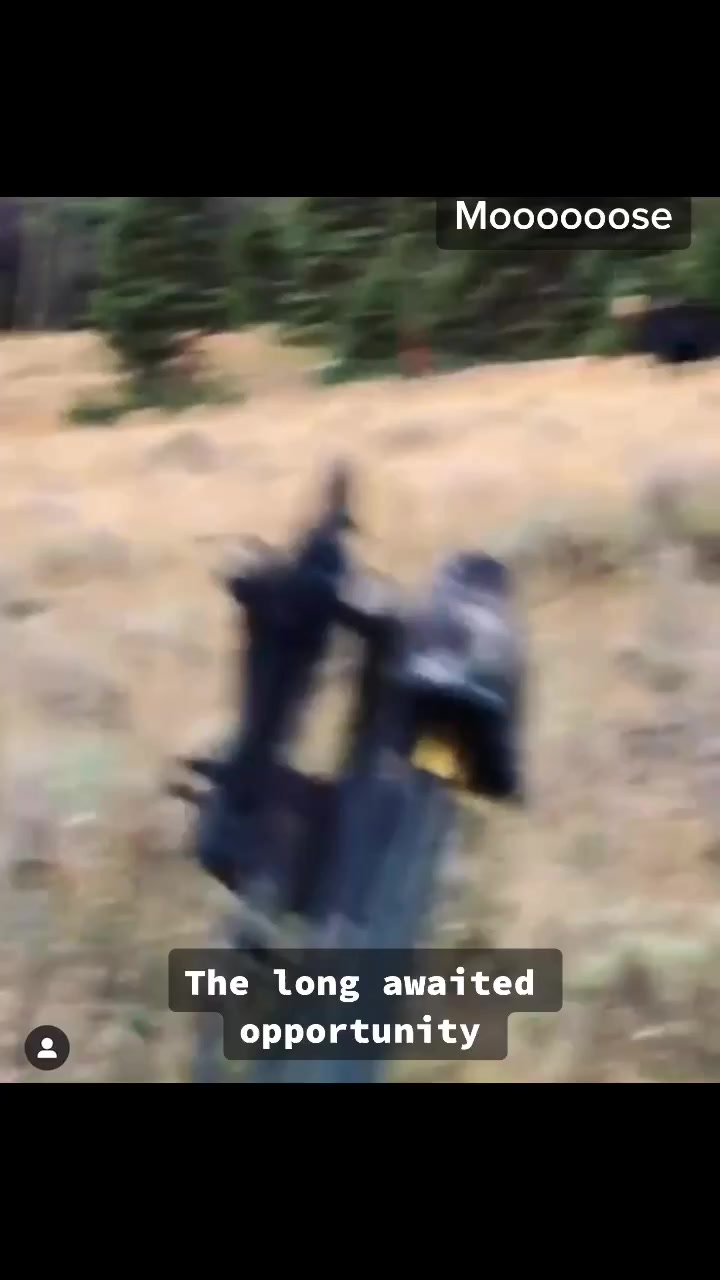 @Gnarlyhorn
