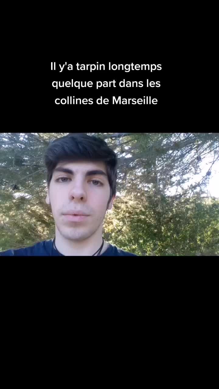 @gémeaux sorcière