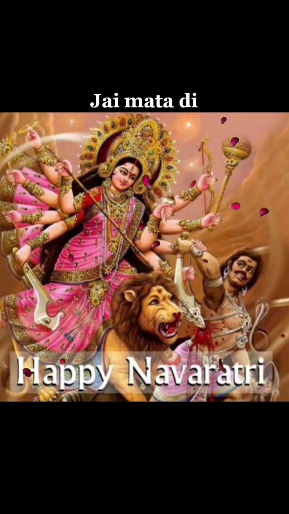 @TEAM RAJASTHANI