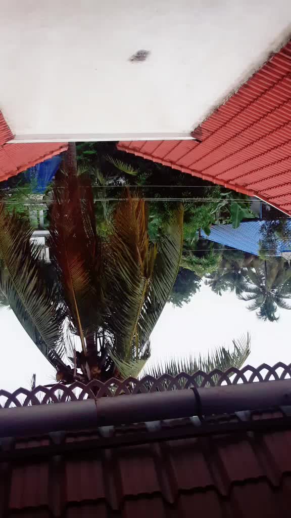 @തൃശ്ശൂർകരി