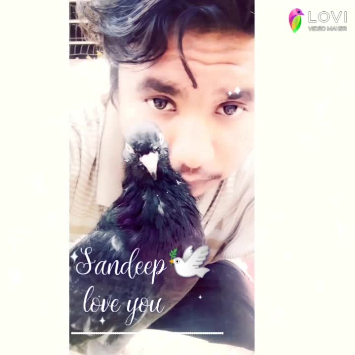 @👑Sandeep Sandeep🤩
