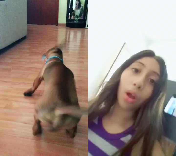 @user32232614785