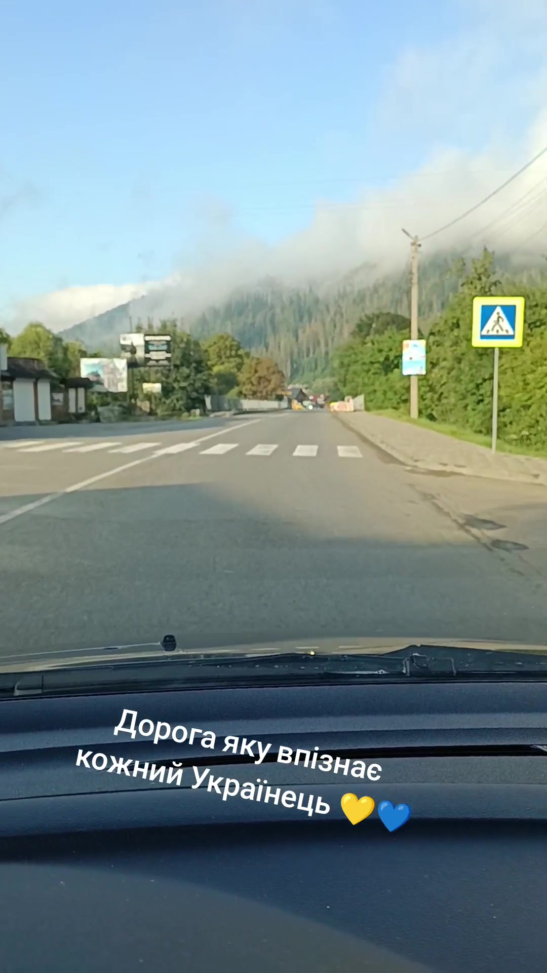 @vit.sen86