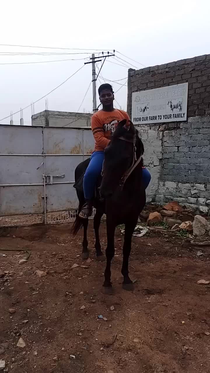 @nsbro1177