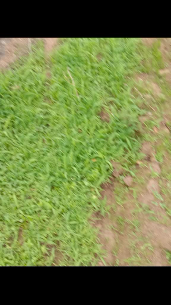 @kottam sandeep